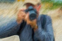 exhib_impressionist_version_of_photographer_with_nikon_camera